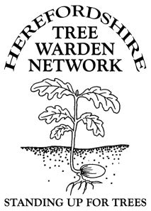H-Tree Warden Network Oakling Logo sm