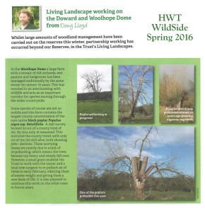 Doug's HWT BP Pollarding Article Spring 2016 web